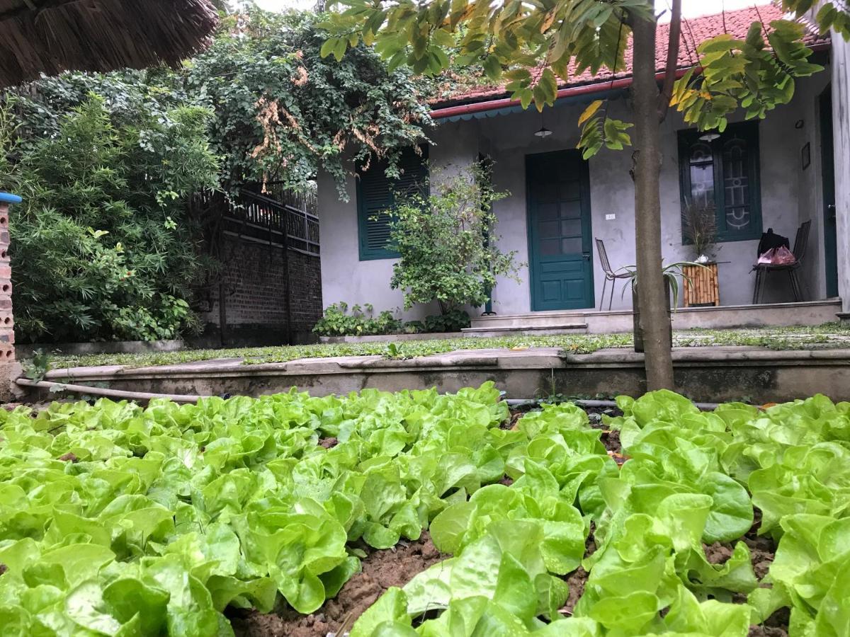 Tam Coc Eco House Appartement Ninh Binh Buitenkant foto