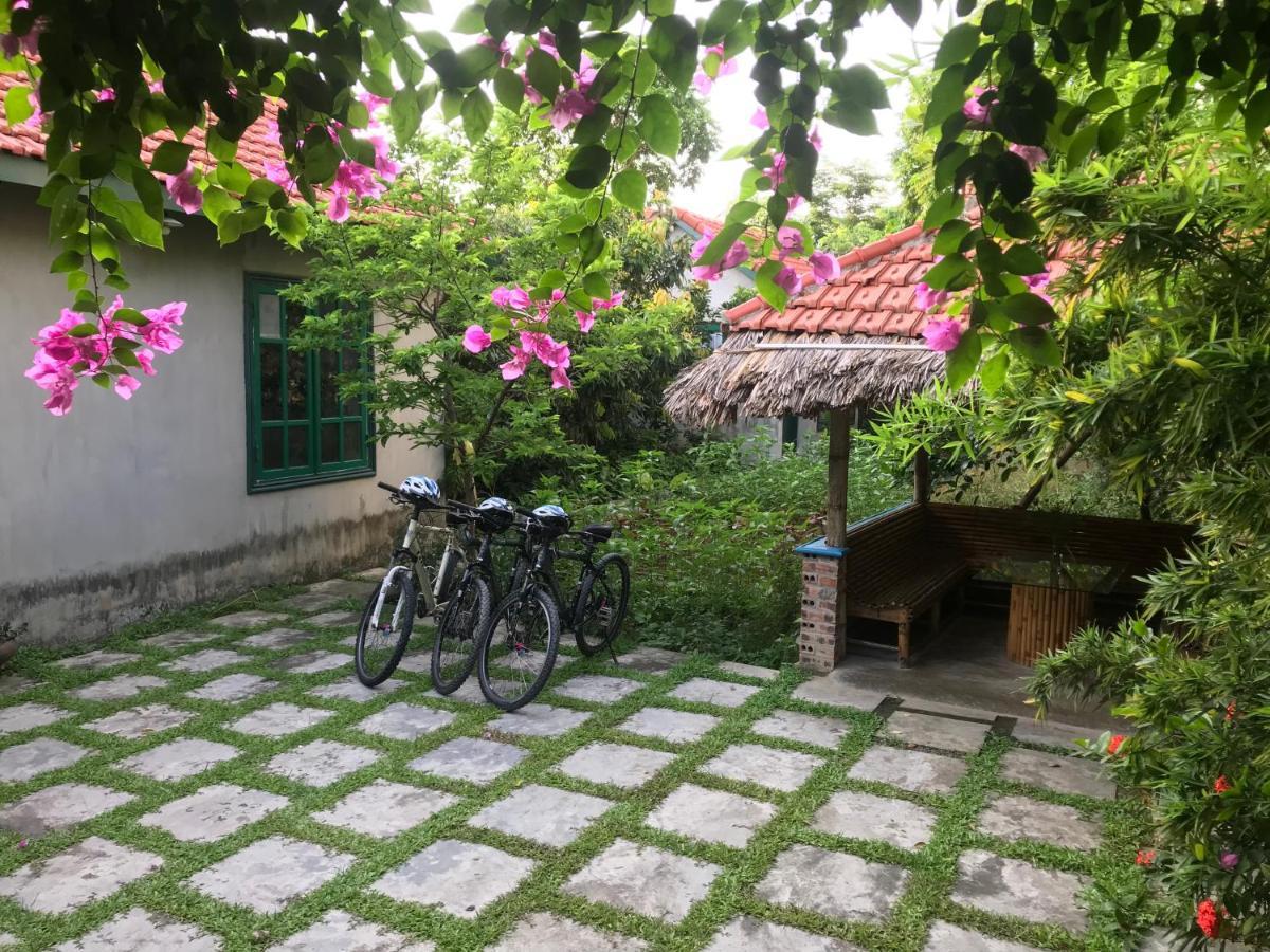 Tam Coc Eco House Appartement Ninh Binh Buitenkant foto
