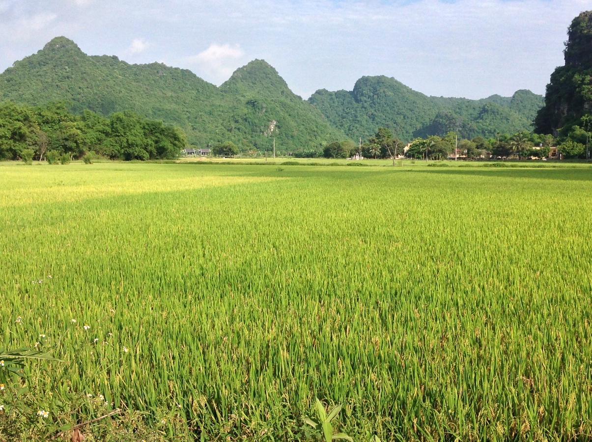 Tam Coc Eco House Appartement Ninh Binh Buitenkant foto
