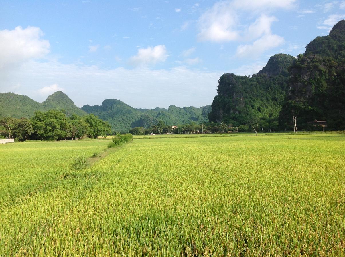 Tam Coc Eco House Appartement Ninh Binh Buitenkant foto