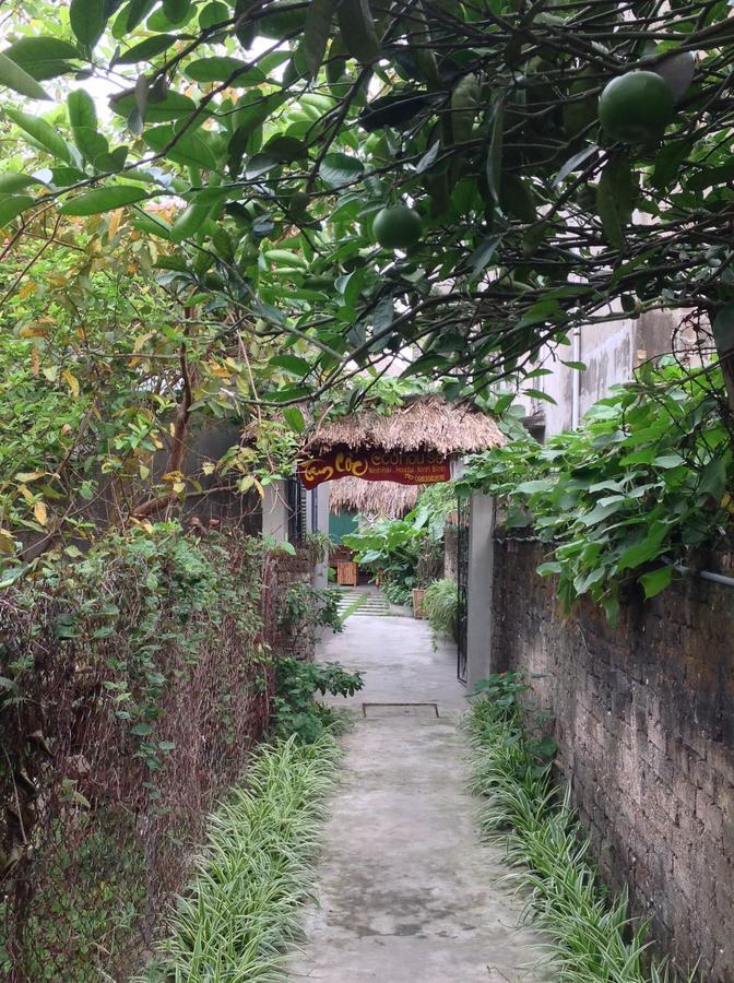 Tam Coc Eco House Appartement Ninh Binh Buitenkant foto