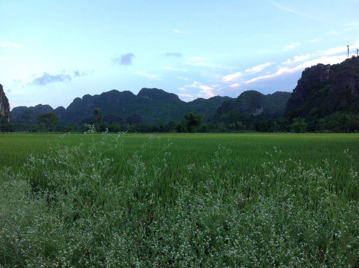 Tam Coc Eco House Appartement Ninh Binh Buitenkant foto