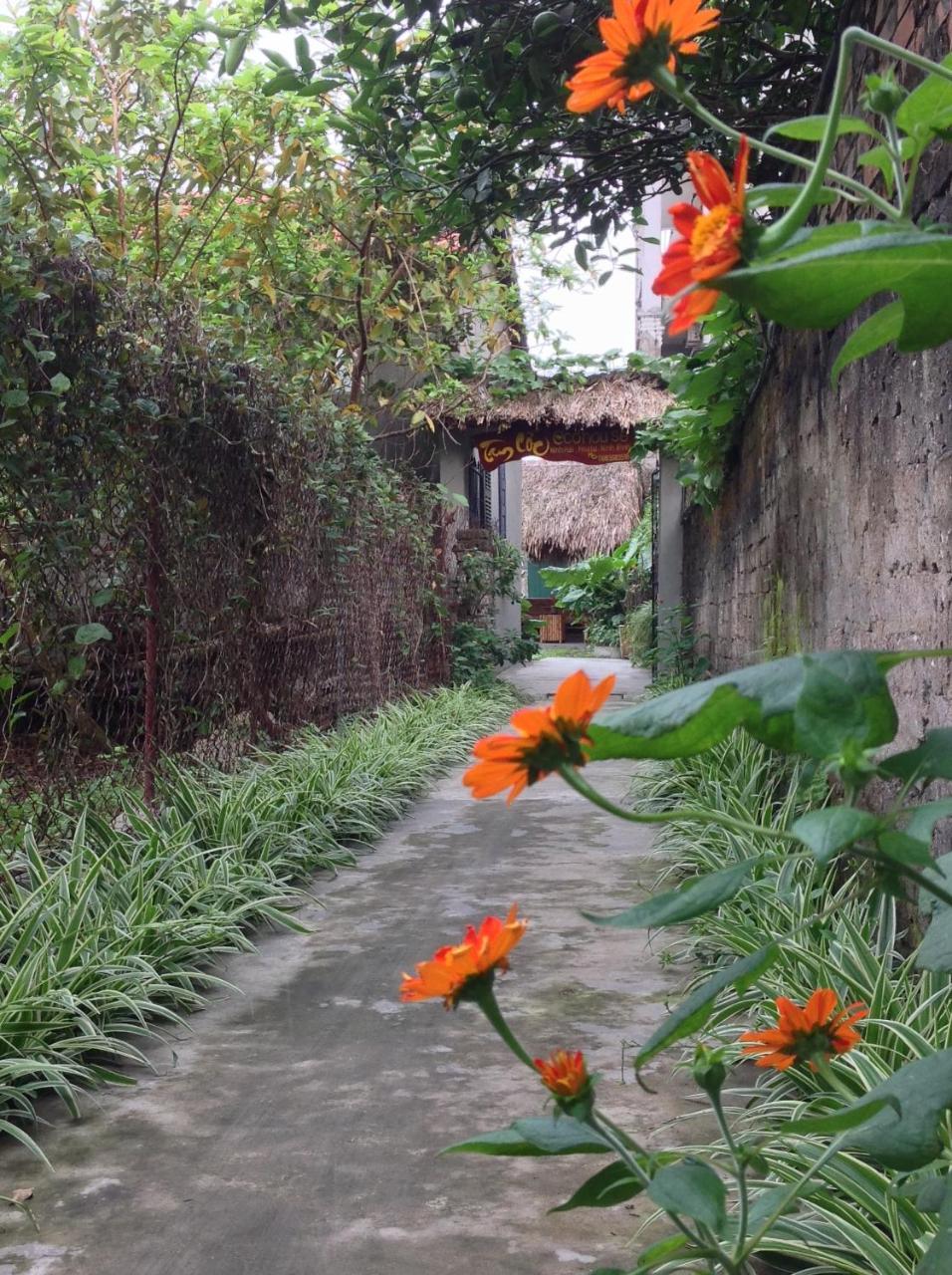 Tam Coc Eco House Appartement Ninh Binh Buitenkant foto